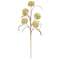 Cream Allium Spray, 24"H SA112580;