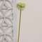 White Allium Ball Spray - 19" 18454;