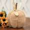 Beige Thankful Sweater Pumpkin, 5.5" Dia. JL24078;
