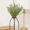 Baby Boxwood Bush, 16"H SA112579;