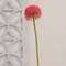 Rose Pink Allium Ball Spray - 19" 18456;