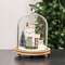Holiday House Cloche 65396;