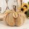 Stuffed Harvest Colors Blessed Sweater Pumpkin, 5"H CW4079;