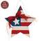 Star Flag Hanger