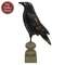 Distressed Carved Wooden Crow Pedestal - 17"H