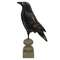 Distressed Carved Wooden Crow Pedestal - 17"H
