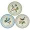 Lace Edge Bird Plate - 3 Asstd.