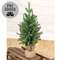 Soft Touch Alpine Tree w/Burlap Base - 3 Ft., HR302502