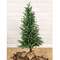 Soft Touch Alpine Tree w/Burlap Base - 4 Ft., HR302503