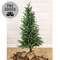 Soft Touch Alpine Tree w/Burlap Base - 4 Ft., HR302503