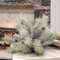 Snowy Bristle Pine & Boughs Half Sphere, 15" SH262503;