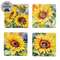4/Set - Watercolor Sunflower Coasters & Holder