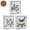 Rustic Bird Box Sign - 3 Asstd.