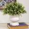 Distressed White Urn