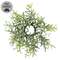 Dusty Rosemary Candle Ring - 1 In