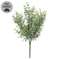 Dusty Rosemary Bush - 11-1/2 In