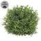 Dusty Rosemary Half Sphere - 7-1/2 In