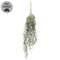 Golden Trumpet & Lavender Hanging Vine - 33-1/2 In