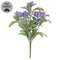 Purple Jasmine Bush - 10 In
