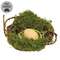 Mossy Twig Bird Nest w/Speckled Cream Egg - 4 In