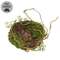 Mossy Twig Bird Nest - 6 In