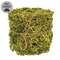 New Growth Moss Ribbon - 3 In x 6 Ft