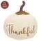 Cream Thankful Stuffed Pumpkin - 8"H