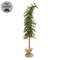 Bendable Luxemburg Pine Tree With Burlap Base - 5 Ft.