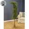 Bendable Luxemburg Pine Tree With Burlap Base - 6 Ft.