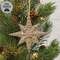 Champagne Sparkle Star Ornament