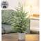 Potted Winter Dreams Fine Pine Tree - 24"H